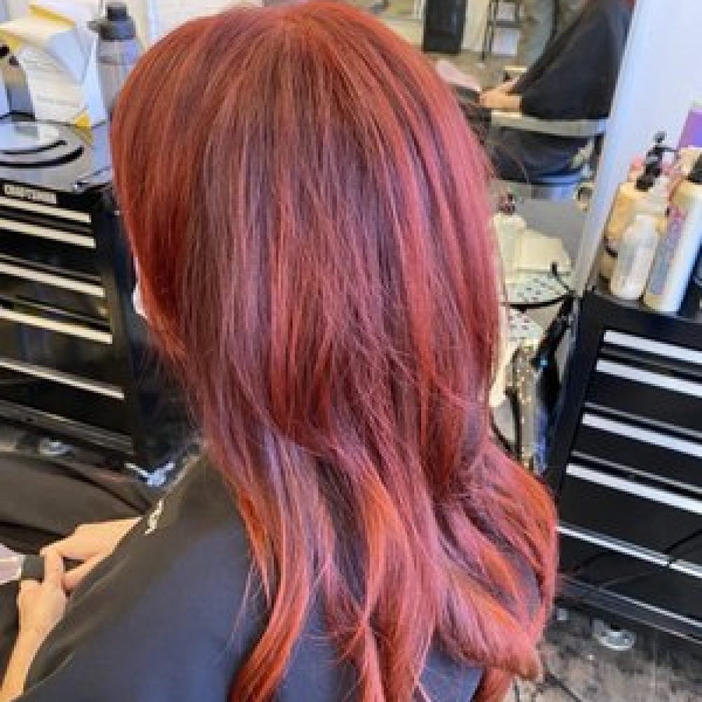 7PhzveV1OwFxlesnL1JTbw-l